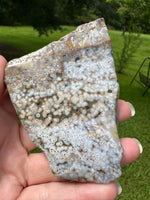 8th Vein Ocean Jasper Slab #41
