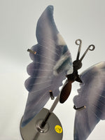 Fluorite Butterfly Wings & Stand #4