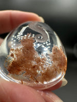 Beautiful Seahorse Garden Quartz Inner Scene Carving #10