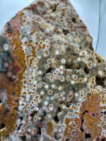 8th Vein Ocean Jasper Slab #24