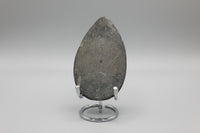 Natural Orthoceras Fossil Specimen #3