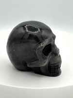 Unique Trolleite Skull #5