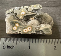 8th Vein Ocean Jasper Polished Free Form #12