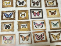 52 Count Butterfly Stickers