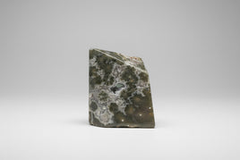 Ocean Jasper Free-form #14
