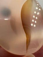 Designer Dendritic Agate Cabochon #8