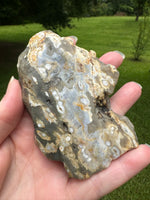 8th Vein Ocean Jasper Slab #29