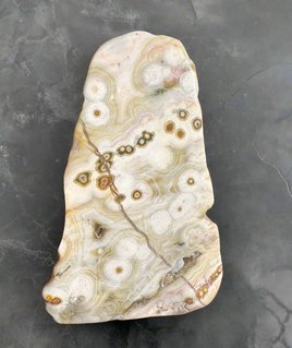 8th Vein Ocean Jasper Polished Free Form #9