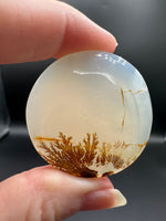 Designer Dendritic Agate Cabochon #2
