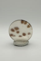Scenic Dendritic Agate Cabochon #6