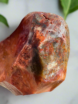 Savannah River Agate Specimen 1b