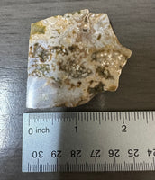 8th Vein Ocean Jasper Slab #68