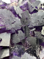 Dark Purple Fluorite Specimen – Melchor Muzquiz, Coahuila, Mexico