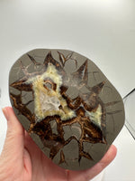 Septarian Nodule, Calcite, Muddy Creek, Orderville, Kane Co. UT UV Reactive #1