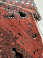 8th Vein Ocean Jasper Slab #64