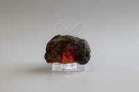 Raw Amber Specimen #13