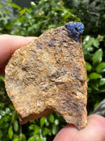 Azurite Specimen Sierra Rica Chihuahua, Mexico #1