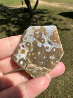 Ocean Jasper Free-form #11