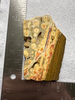 8th Vein Ocean Jasper Slab #111