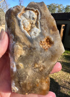 Savannah River Agate Specimen 1f