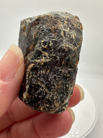 Madagascar Raw Amber Specimen #11