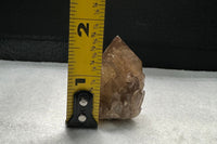 Kundalini Natural Citrine Crystal, D R Congo, Lightbrary, Specimen #3