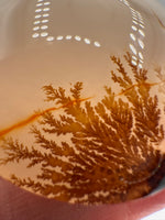Designer Dendritic Agate Cabochon #2