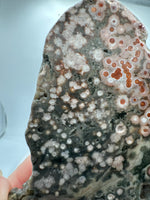 8th Vein Ocean Jasper Slab #21