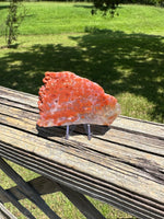 8th Vein Ocean Jasper Slab #121