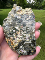 8th Vein Ocean Jasper Slab #92
