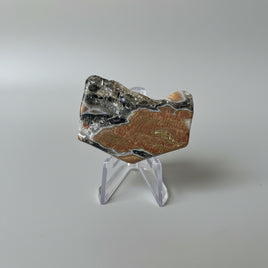 6th Vein Ocean Jasper Polished Freeform #12