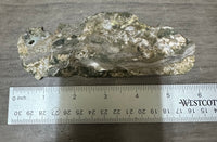 8th Vein Ocean Jasper Slab #31