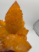 Sunshine Spirit Cactus, Golden Healer Quartz Cluster, South Africa #2