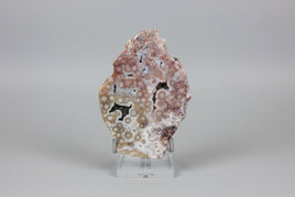 8th Vein Ocean Jasper Slab #73