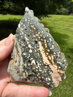 8th Vein Ocean Jasper Slab #83