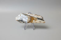 6th Vein Ocean Jasper Polished Freeform #18