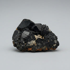 Uvite, Powers Farm, Pierrepont, New York