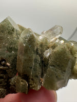Chlorite Included Himalaya Quartz Cluster from Pakistan #2