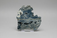 8th Vein Ocean Jasper Slab #5