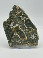 8th Vein Ocean Jasper Slab #6