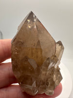 Kundalini Natural Citrine Crystal, D R Congo, Lightbrary #9