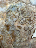 8th Vein Ocean Jasper Slab #47