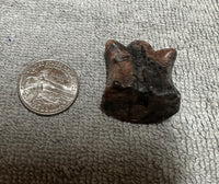 Carved Red Amphibole Ghost