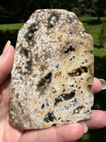 8th Vein Ocean Jasper Slab #98