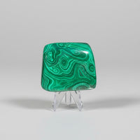 Polished Malachite Freeform #12