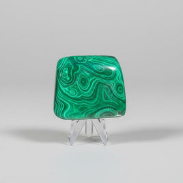 Polished Malachite Freeform #12