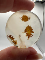 Scenic Dendritic Agate Cabochon #7