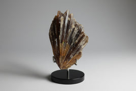 Natural Amber Calcite Raw Specimen UV Reactive #12