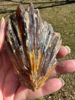 Natural Amber Calcite Raw Specimen UV Reactive #12