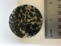 Moss Agate Polished Round Slice #22